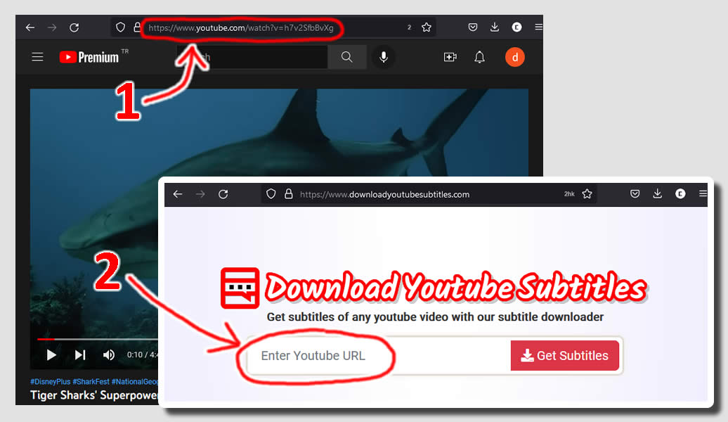 Guida per scaricare i sottotitoli di Youtube sul tuo PC desktop.